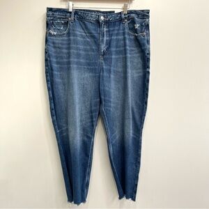 AE striged high rise mom jeans raw hem stretch NWT plus size 20 short